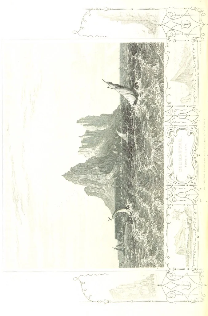 An illustration from The British Colonies; their history, extent, condition, and resources, 1851, leaf 700