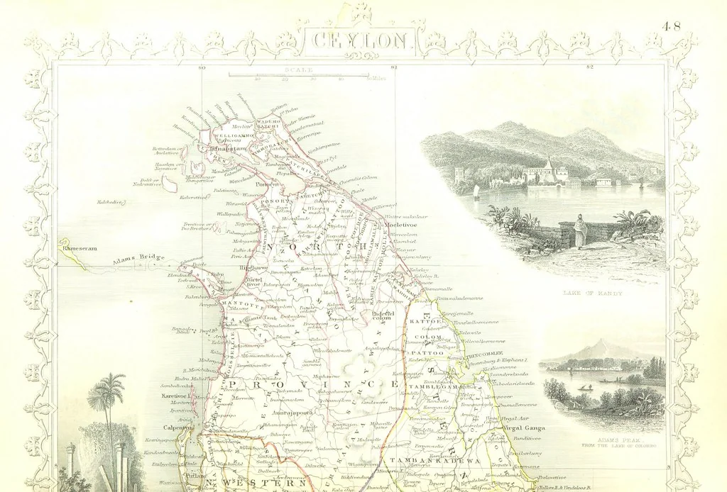 An illustration from The British Colonies; their history, extent, condition, and resources, 1851, leaf 706