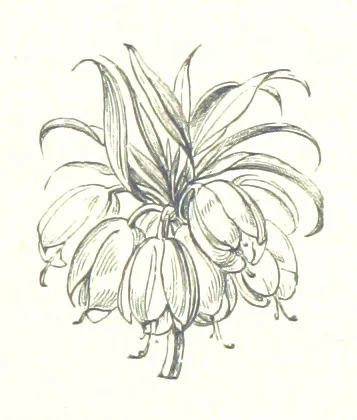 An illustration from By Solent and Danube. Poems and ballads, 1885, leaf 123