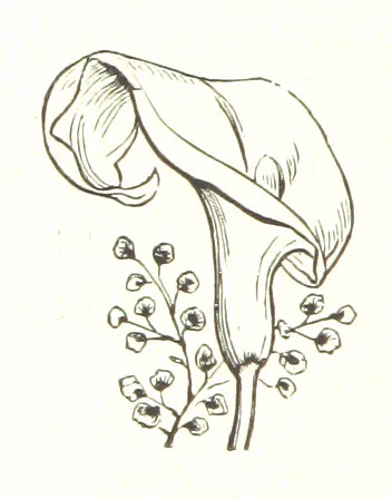 An illustration from By Solent and Danube. Poems and ballads, 1885, leaf 62