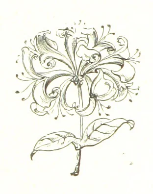 An illustration from By Solent and Danube. Poems and ballads, 1885, leaf 82