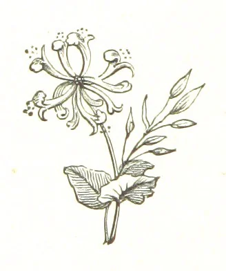 An illustration from By Solent and Danube. Poems and ballads, 1885, leaf 84