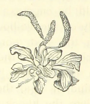 An illustration from Reminiscences of the royal burgh of Haddington and old East Lothian agriculturists, 1883, leaf 122
