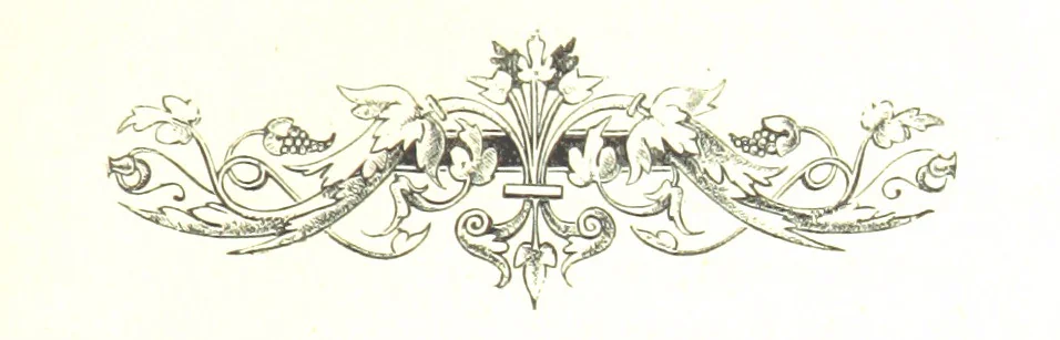 An illustration from Our Cousins in Australia; or, Reminiscences of S. Norris, 1867, leaf 11