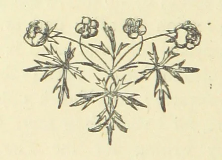 An illustration from Half an Hour with a good author. By Himself, 1872, leaf 162