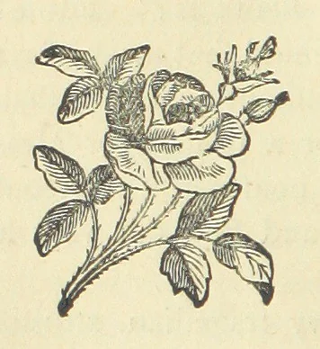 An illustration from Half an Hour with a good author. By Himself, 1872, leaf 40