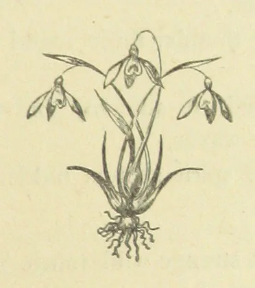 An illustration from Half an Hour with a good author. By Himself, 1872, leaf 79