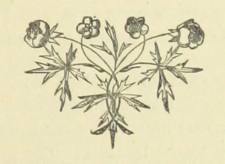 An illustration from Half an Hour with a good author. By Himself, 1872, leaf 85
