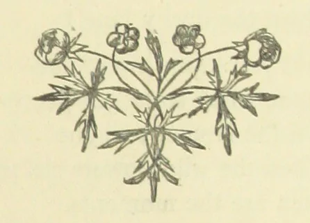 An illustration from Half an Hour with a good author. By Himself, 1872, leaf 99