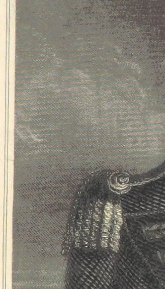 An illustration from History of the Irish Rebellion in 1798; with memoirs of the Union, and Emmett's insurrection in 1803, 1845, leaf 337