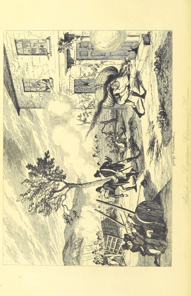 An illustration from History of the Irish Rebellion in 1798; with memoirs of the Union, and Emmett's insurrection in 1803, 1845, leaf 348