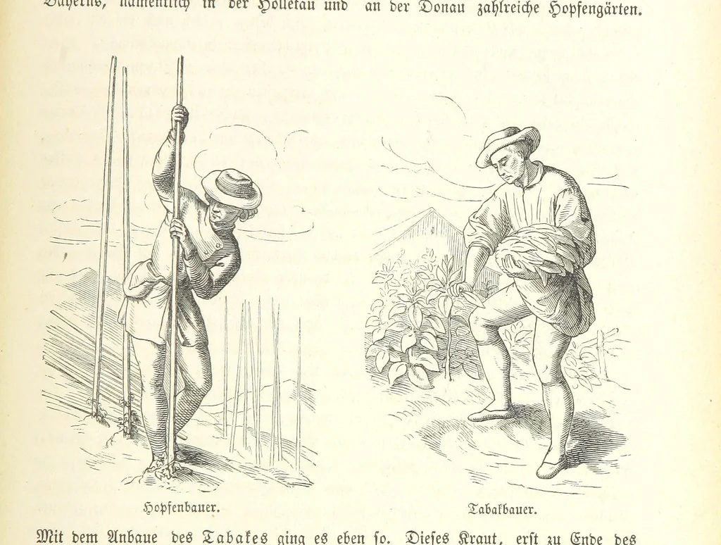 An illustration from Geschichte Bayerns. Unter Zugrundelegung von Lorenz von Westenrieders bayerischer Geschichte neu bearbeitet, dem Volke erzählt, und mit Beigaben aus der bayerischen Culturgeschichte und Sage versehen. ... Mit vielen Holzschnittbildern, 1874, leaf 629