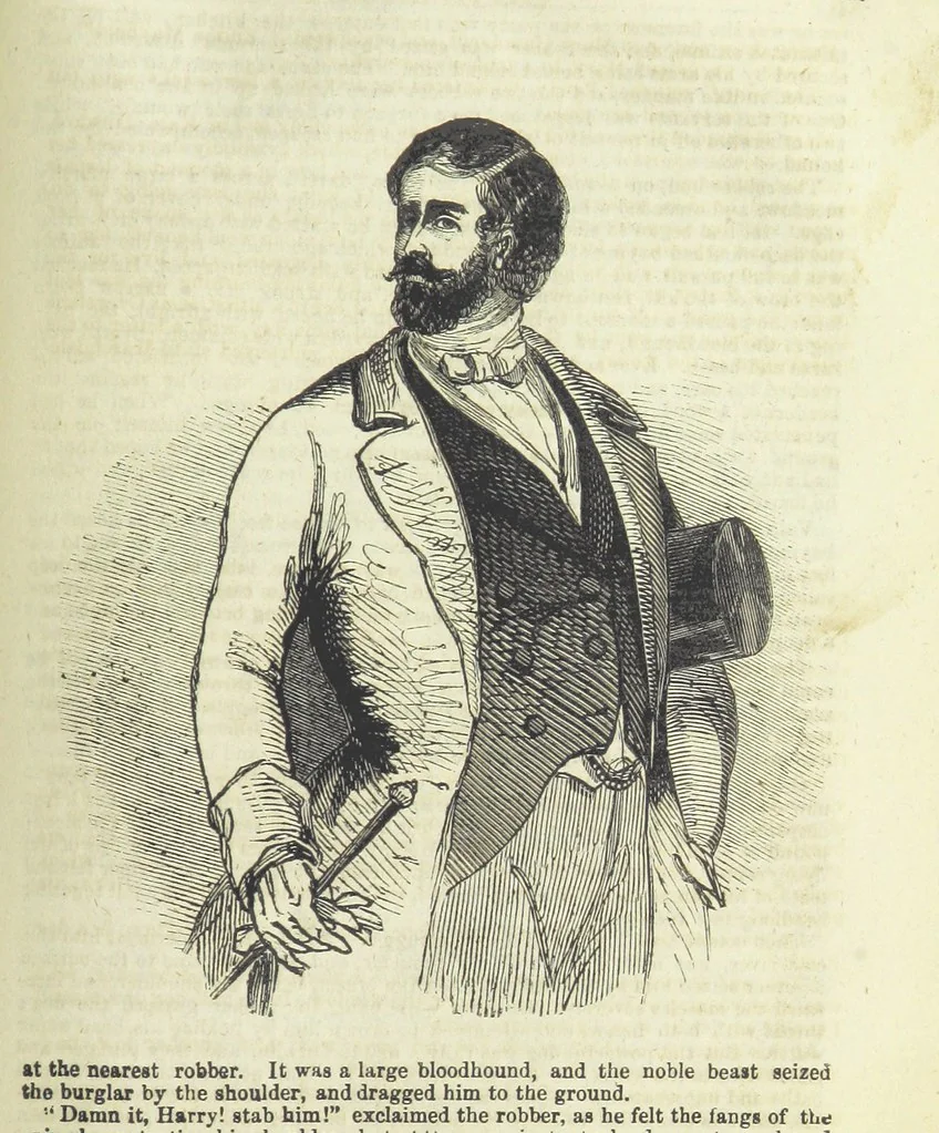 An illustration from Emma Mayfield; or, the Rector's Daughter. By an author of celebrity [T. Frost, 1857, leaf 357