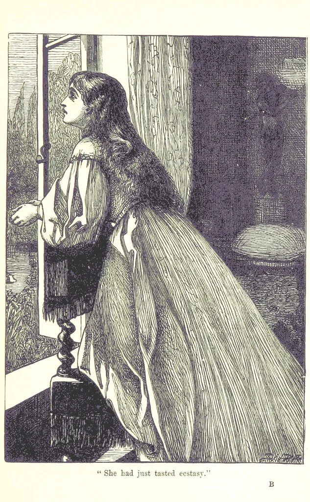An illustration from A Dweller in Tents. [A tale, 1880, leaf 21