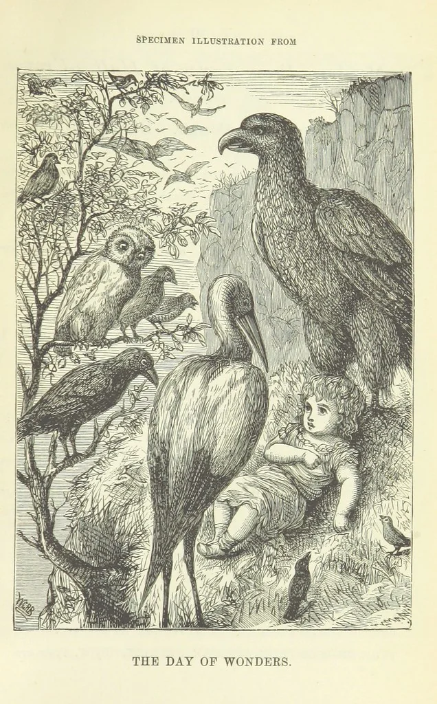 An illustration from Engaged to be married: a tale of to-day, 1895, leaf 353