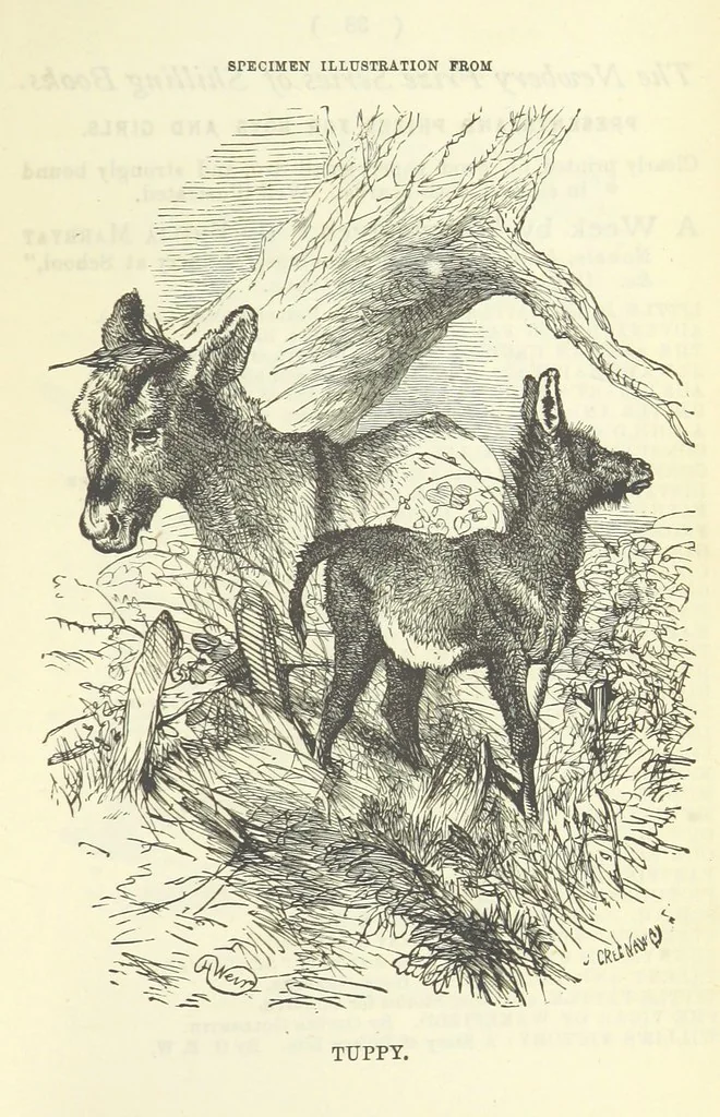 An illustration from Engaged to be married: a tale of to-day, 1895, leaf 361