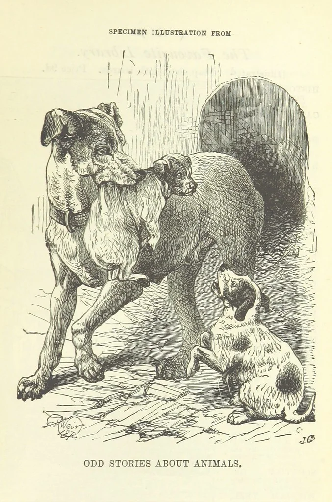 An illustration from Engaged to be married: a tale of to-day, 1895, leaf 365