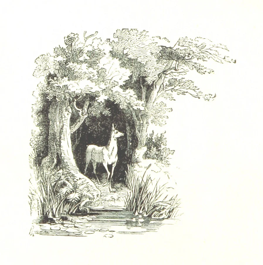 An illustration from The Lady of the Forest. [A novel, 1889, leaf 10