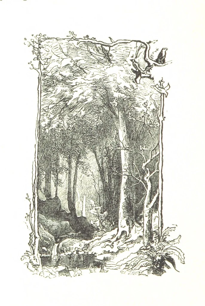 An illustration from The Lady of the Forest. [A novel, 1889, leaf 104
