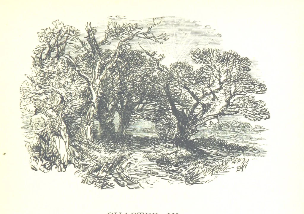 An illustration from The Lady of the Forest. [A novel, 1889, leaf 105