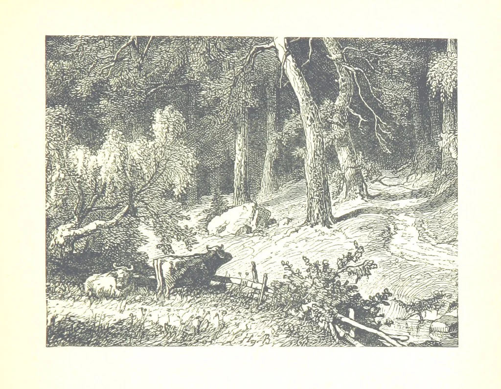An illustration from The Lady of the Forest. [A novel, 1889, leaf 11