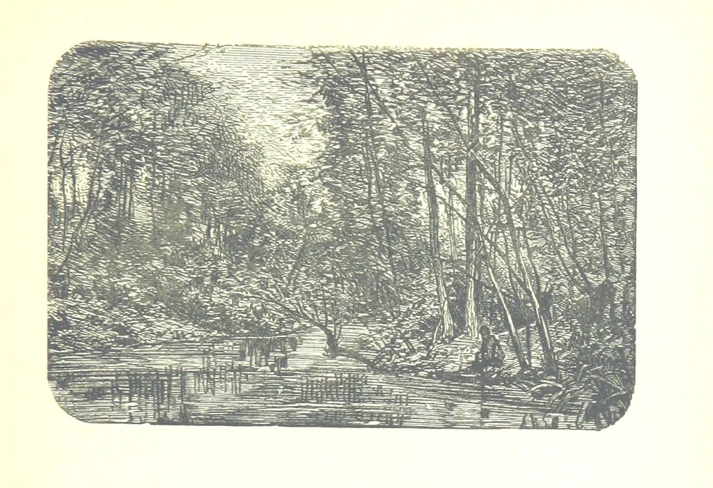 An illustration from The Lady of the Forest. [A novel, 1889, leaf 111