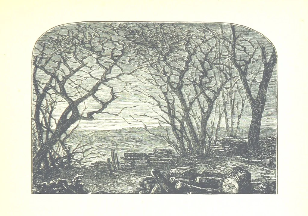 An illustration from The Lady of the Forest. [A novel, 1889, leaf 133