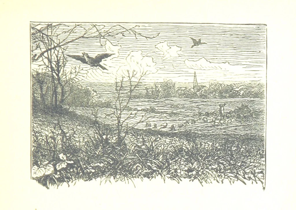 An illustration from The Lady of the Forest. [A novel, 1889, leaf 139