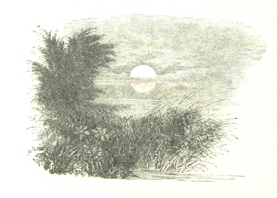 An illustration from The Lady of the Forest. [A novel, 1889, leaf 154