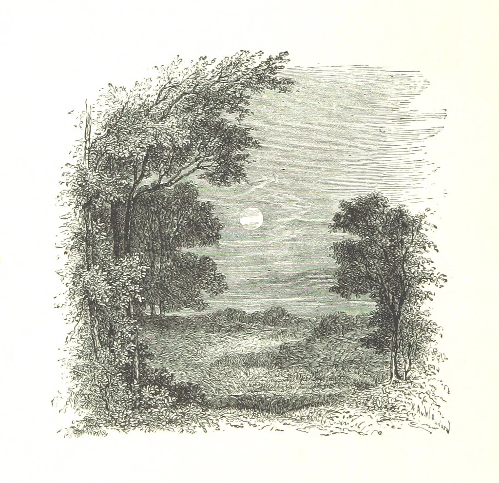 An illustration from The Lady of the Forest. [A novel, 1889, leaf 168