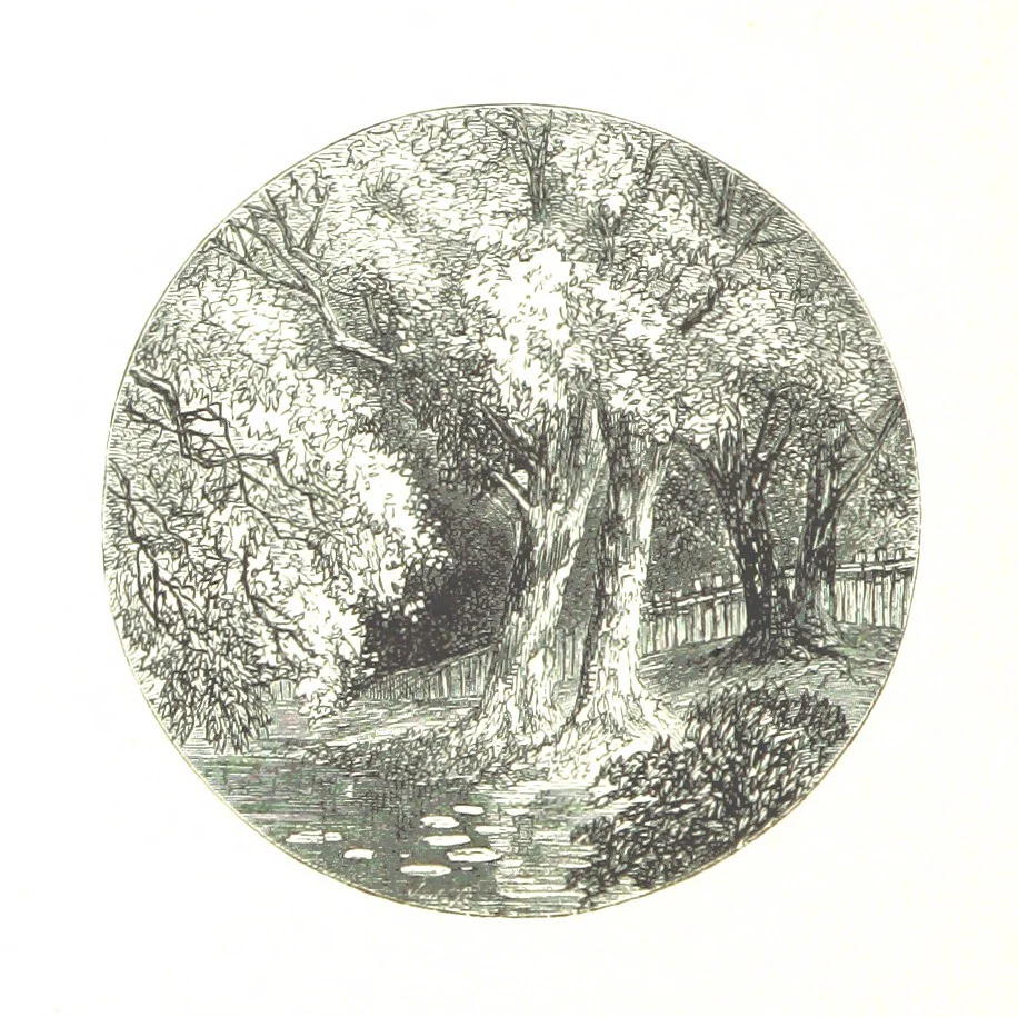 An illustration from The Lady of the Forest. [A novel, 1889, leaf 188