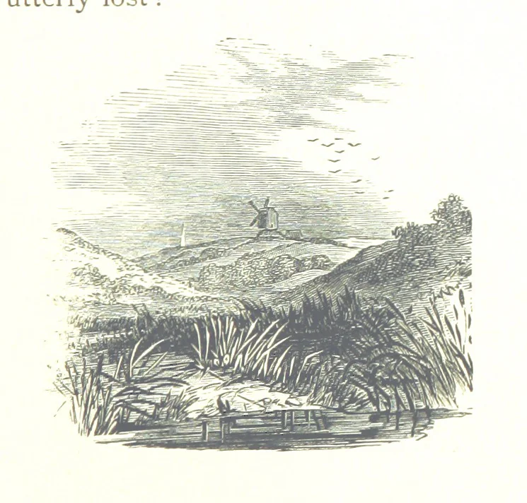 An illustration from The Lady of the Forest. [A novel, 1889, leaf 199