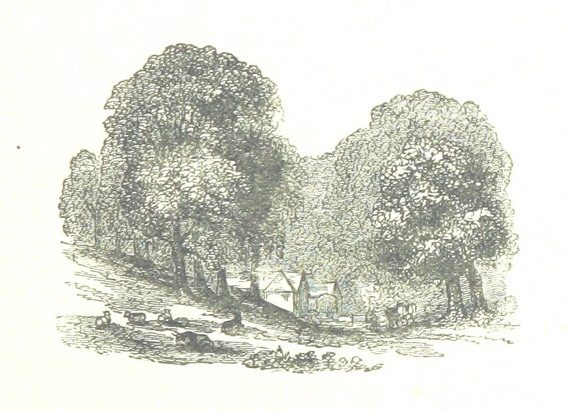 An illustration from The Lady of the Forest. [A novel, 1889, leaf 205