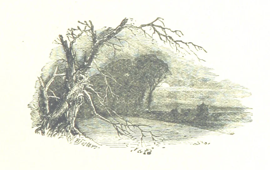 An illustration from The Lady of the Forest. [A novel, 1889, leaf 217