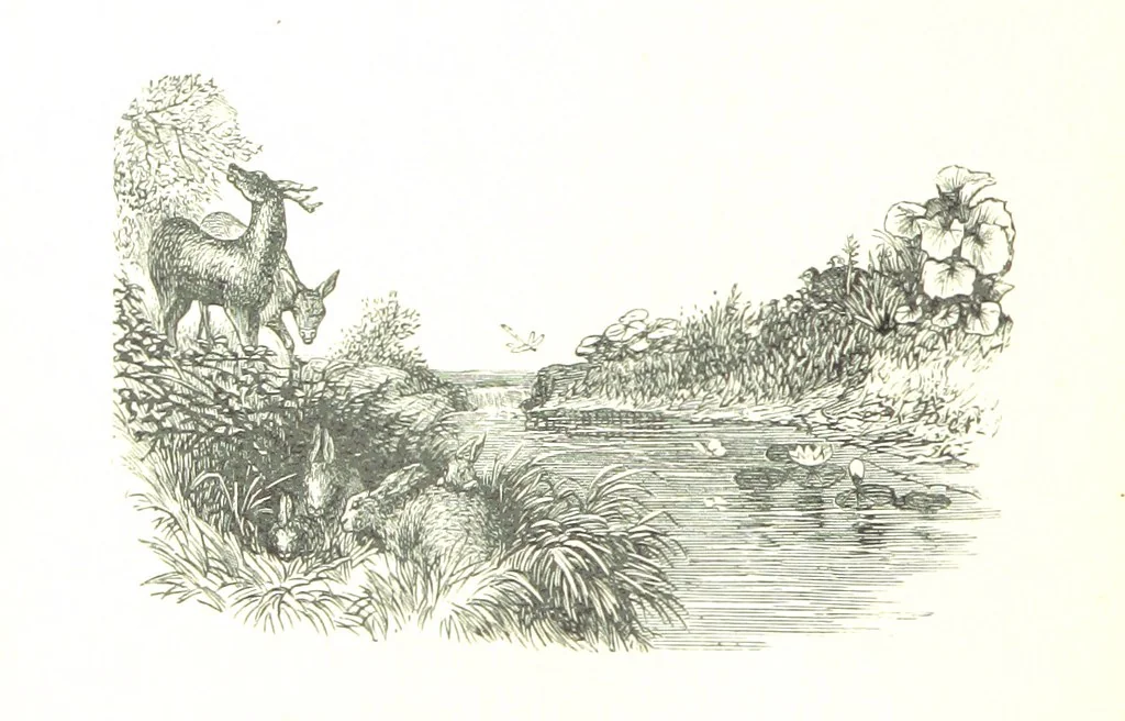 An illustration from The Lady of the Forest. [A novel, 1889, leaf 228