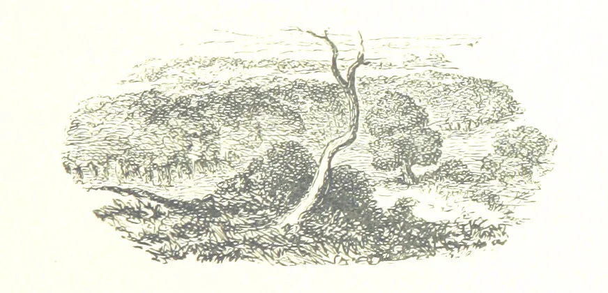 An illustration from The Lady of the Forest. [A novel, 1889, leaf 241