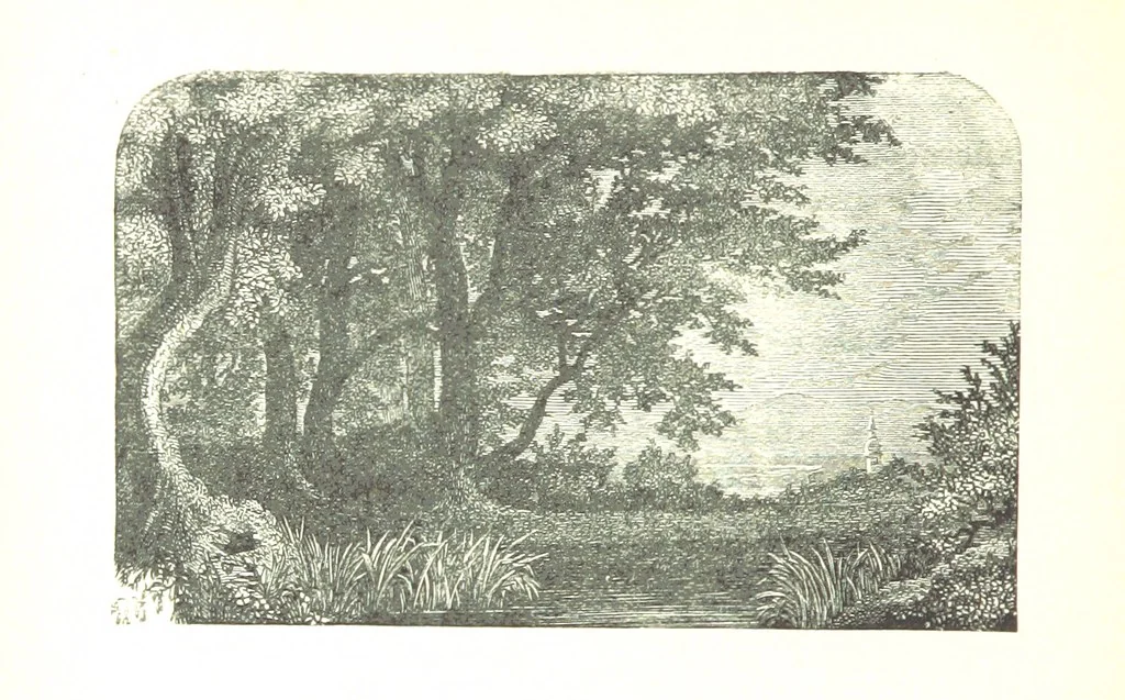 An illustration from The Lady of the Forest. [A novel, 1889, leaf 242