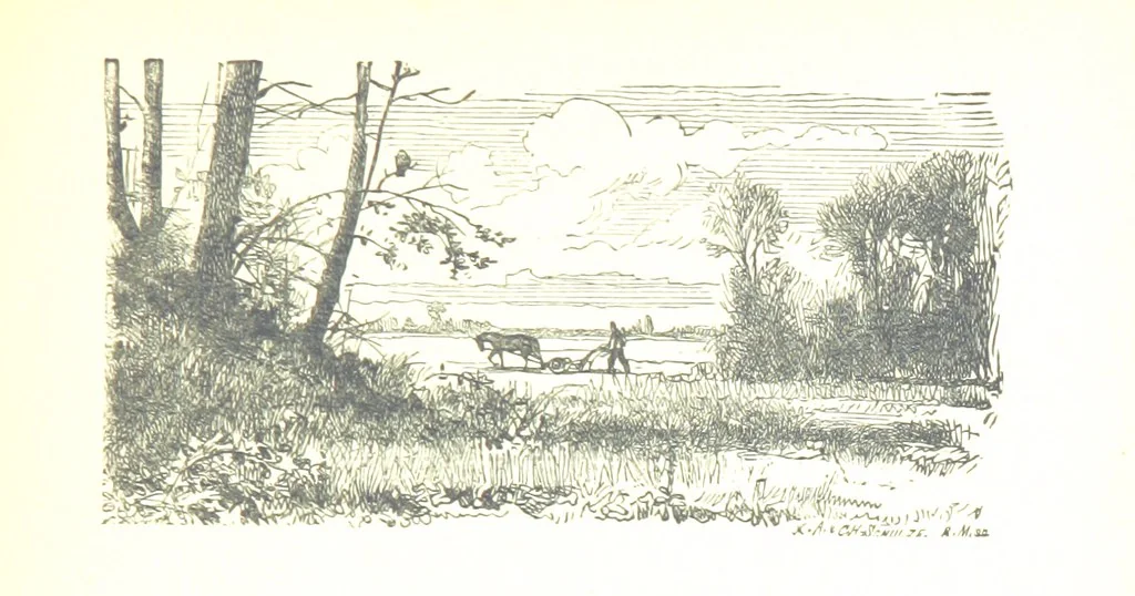 An illustration from The Lady of the Forest. [A novel, 1889, leaf 249