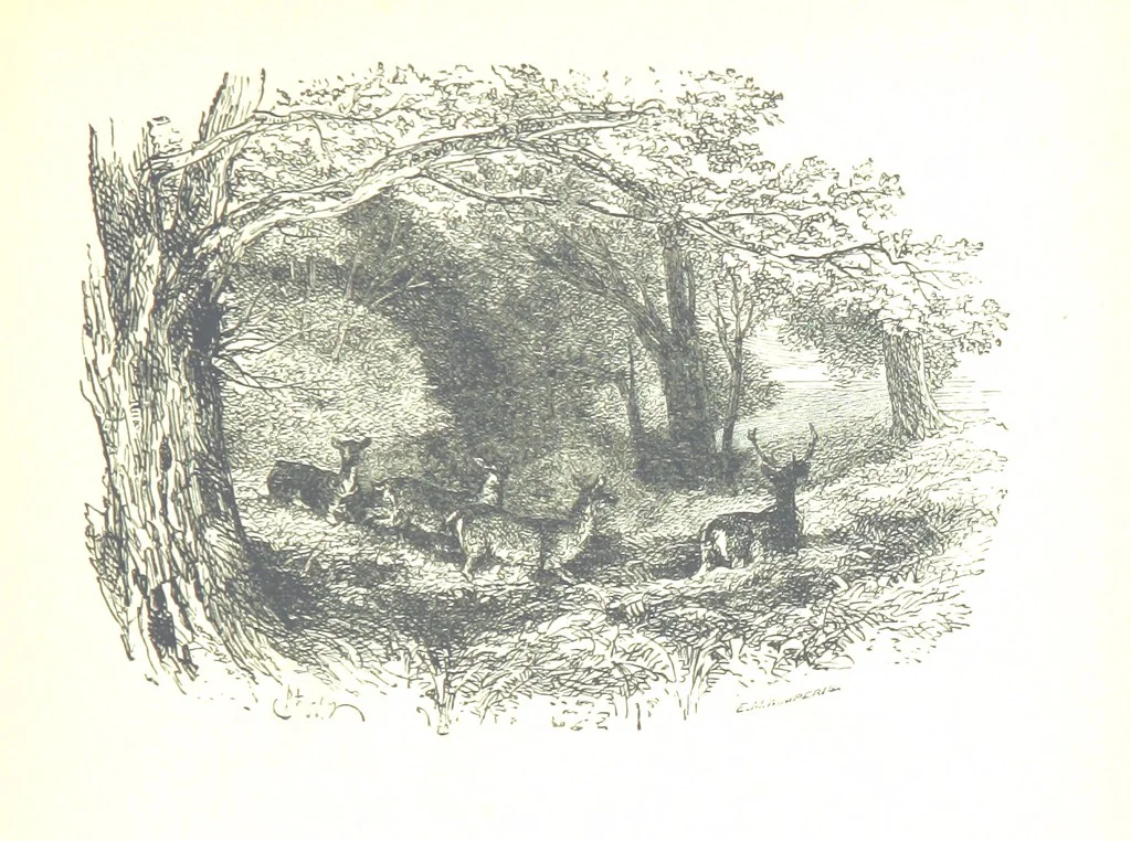 An illustration from The Lady of the Forest. [A novel, 1889, leaf 263