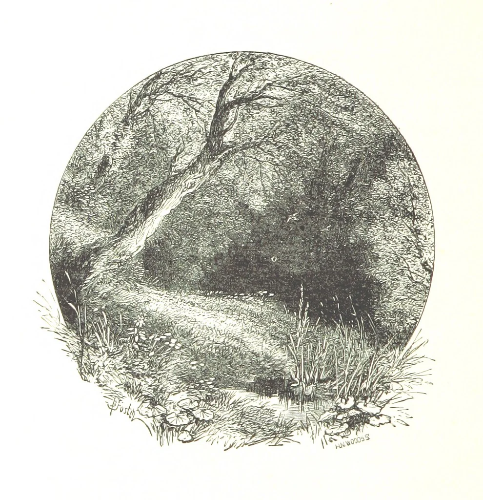 An illustration from The Lady of the Forest. [A novel, 1889, leaf 270