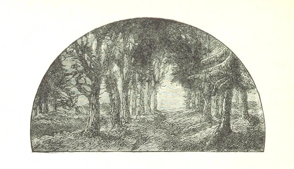 An illustration from The Lady of the Forest. [A novel, 1889, leaf 290