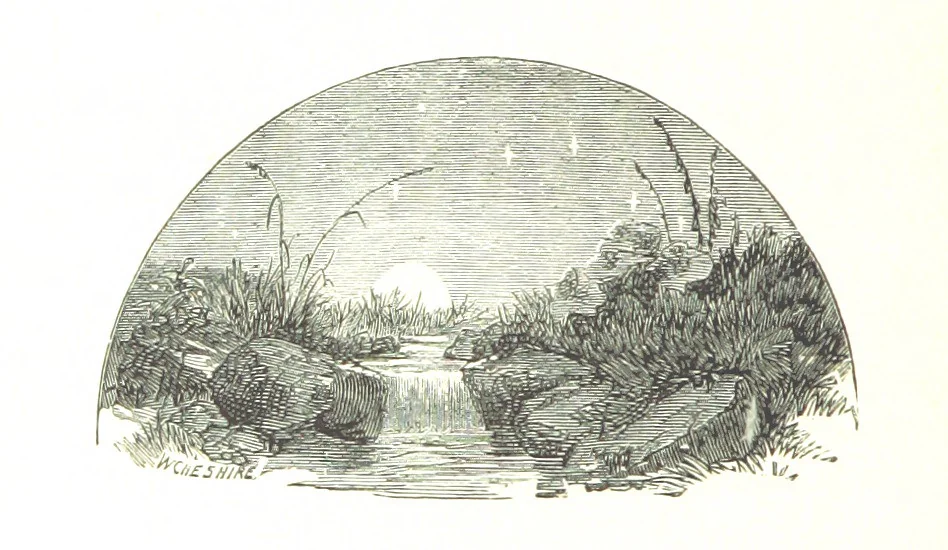 An illustration from The Lady of the Forest. [A novel, 1889, leaf 312