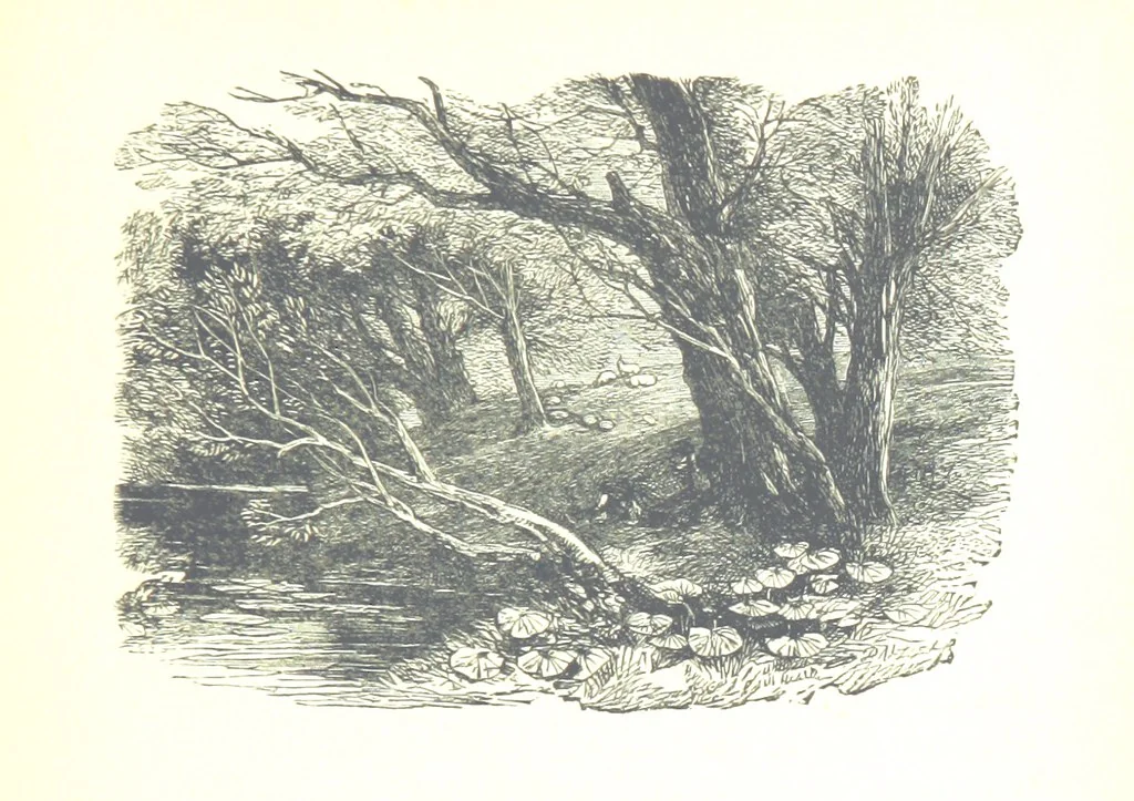 An illustration from The Lady of the Forest. [A novel, 1889, leaf 313