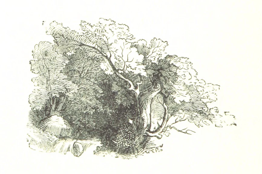 An illustration from The Lady of the Forest. [A novel, 1889, leaf 42
