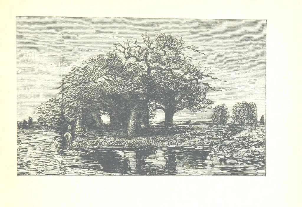 An illustration from The Lady of the Forest. [A novel, 1889, leaf 43