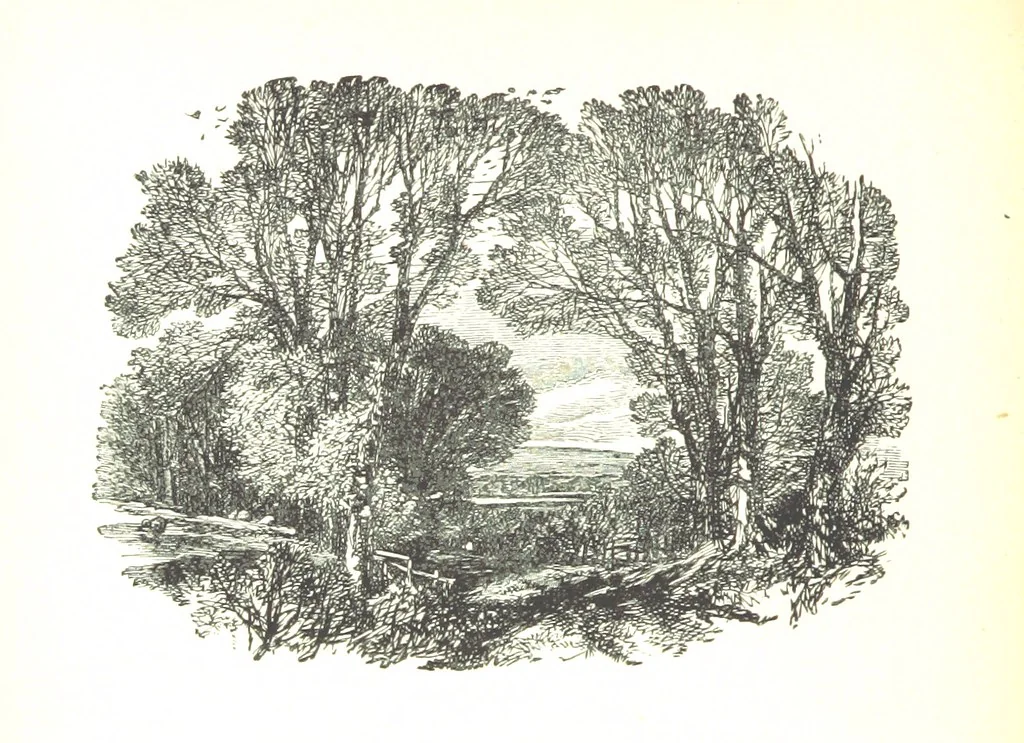An illustration from The Lady of the Forest. [A novel, 1889, leaf 54