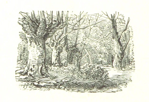 An illustration from The Lady of the Forest. [A novel, 1889, leaf 70