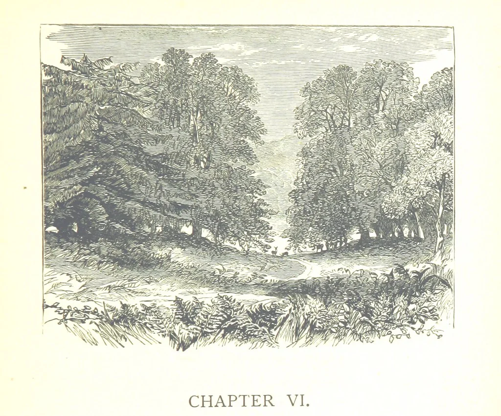 An illustration from The Lady of the Forest. [A novel, 1889, leaf 71