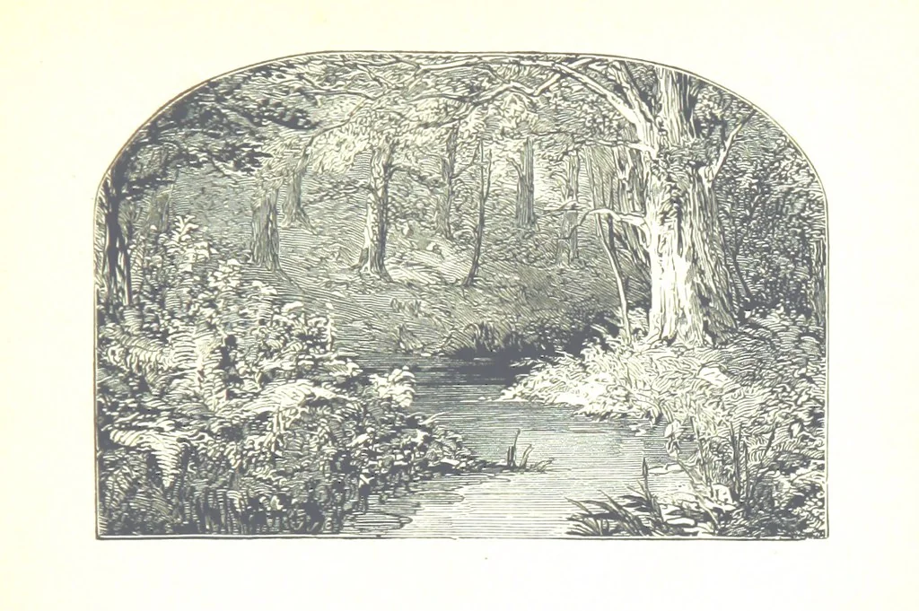 An illustration from The Lady of the Forest. [A novel, 1889, leaf 9
