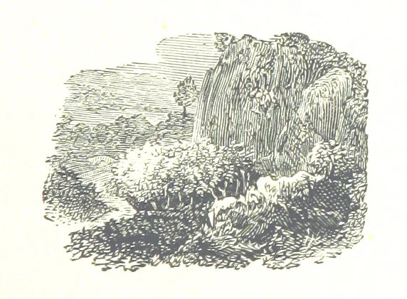 An illustration from The Lady of the Forest. [A novel, 1889, leaf 97